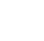shield 1